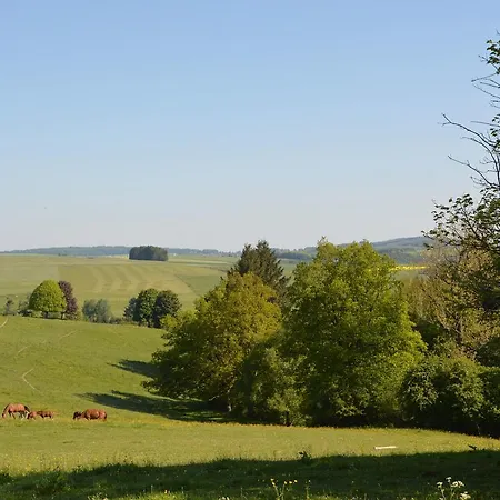 Beautiful Holiday Home In Villers-Sur-Lesse Near The Forest *