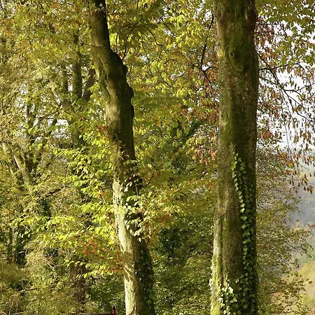 Beautiful Holiday Home In Villers-Sur-Lesse Near The Forest Сasa de vacaciones Rochefort