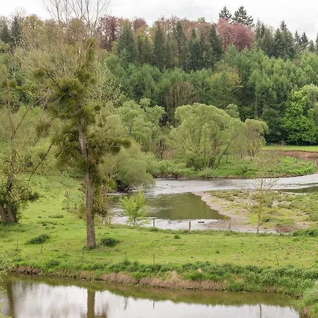 Beautiful Holiday Home In Villers-Sur-Lesse Near The Forest